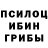 Галлюциногенные грибы Cubensis Latipov Mirshod