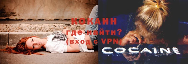 крисы Алзамай