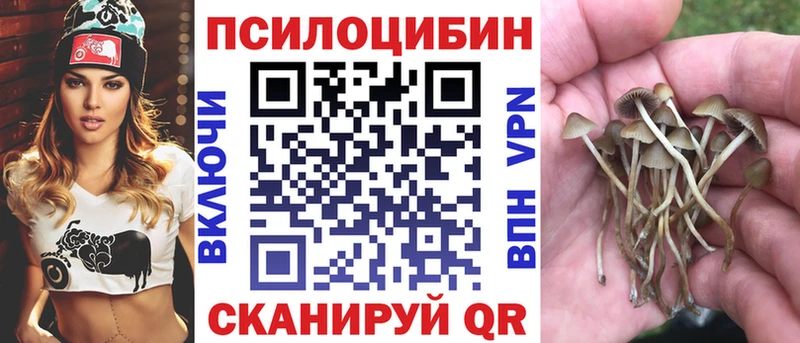 продажа наркотиков  KRAKEN как зайти  Галлюциногенные грибы прущие грибы  Кондопога 